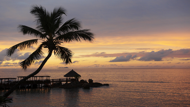 Sunset view of palm tree and pier by the ocean